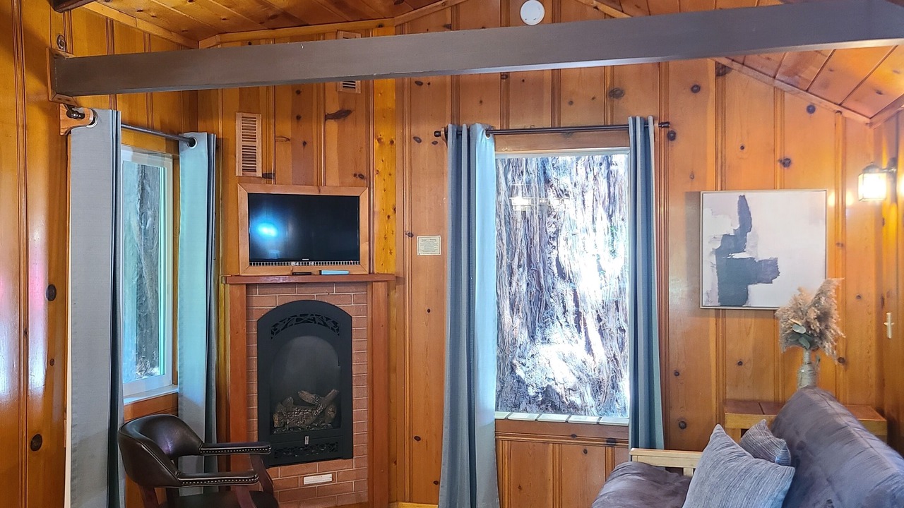 Photo of Livingroom in Felton