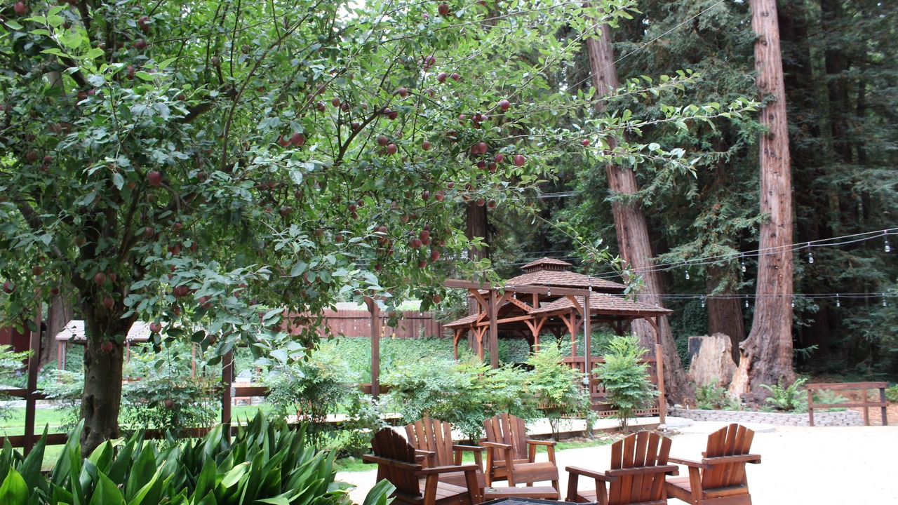 Photo of Livingroom in Felton