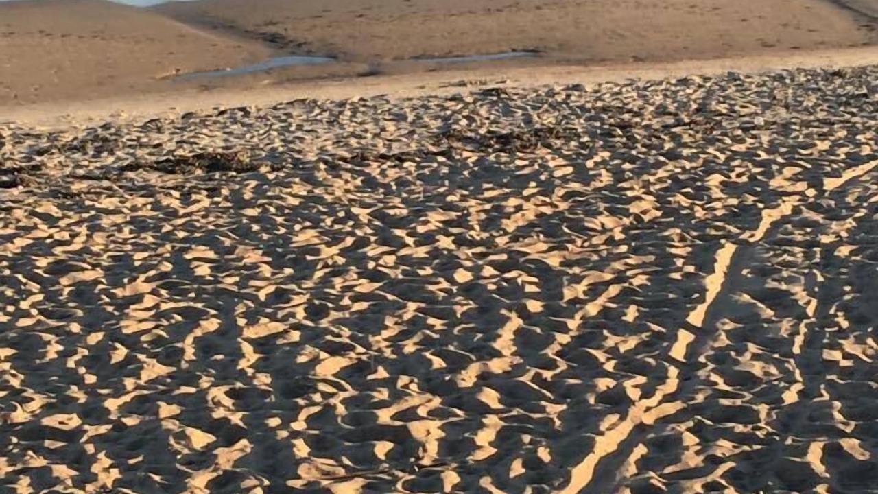 Photo of Others in Misquamicut