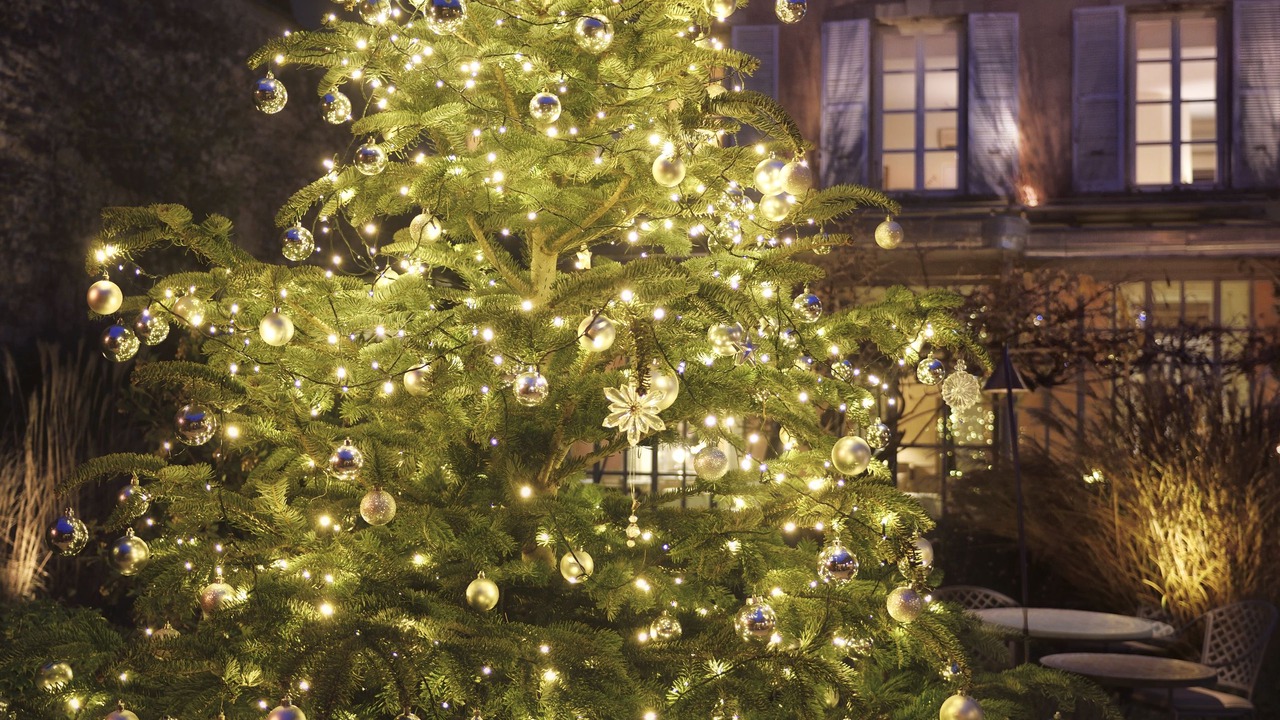 Photo of Outdoor in Grignan