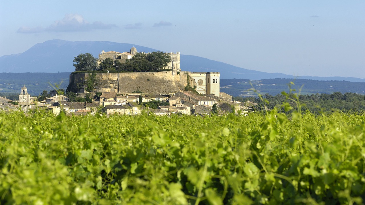 Photo of Others in Grignan