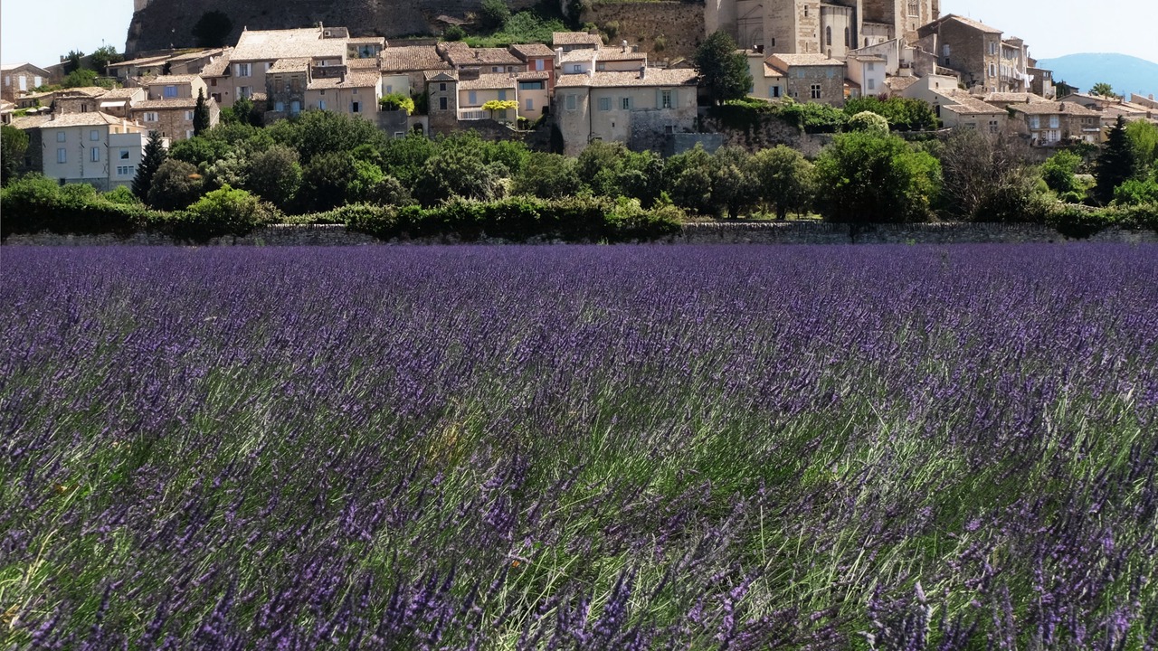 Photo of Bedroom in Grignan