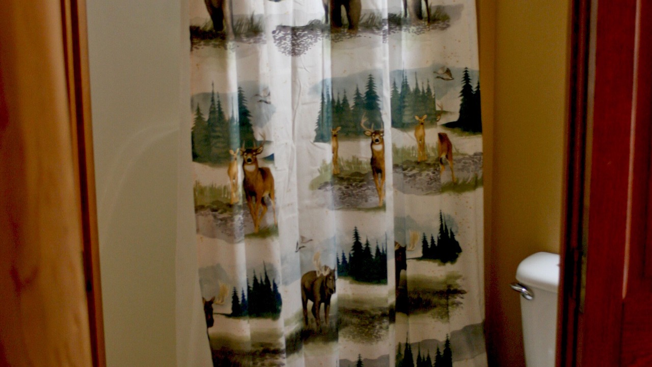Photo of Bedroom in Lemay