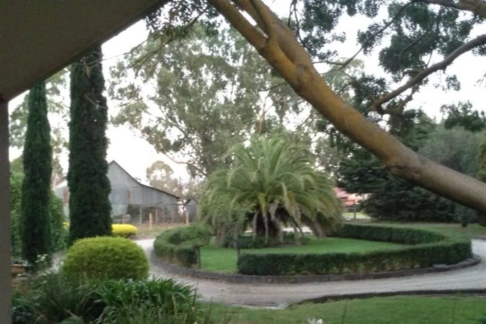 Photo of Outdoor in Yering