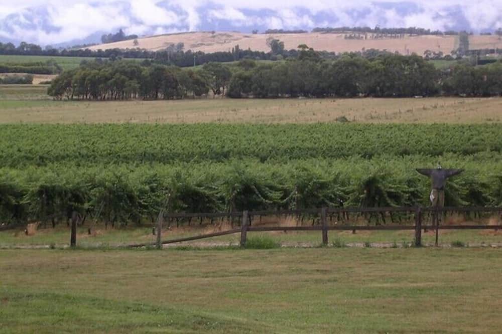 Photo of Outdoor in Yering