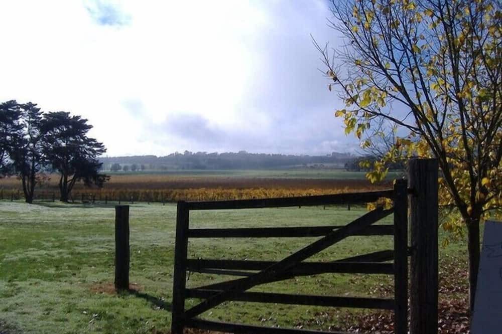 Photo of Outdoor in Yering