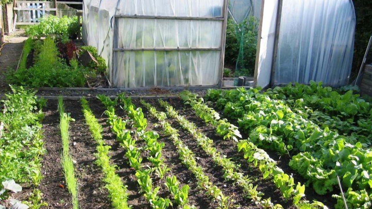 Photo of Outdoor in Newtown