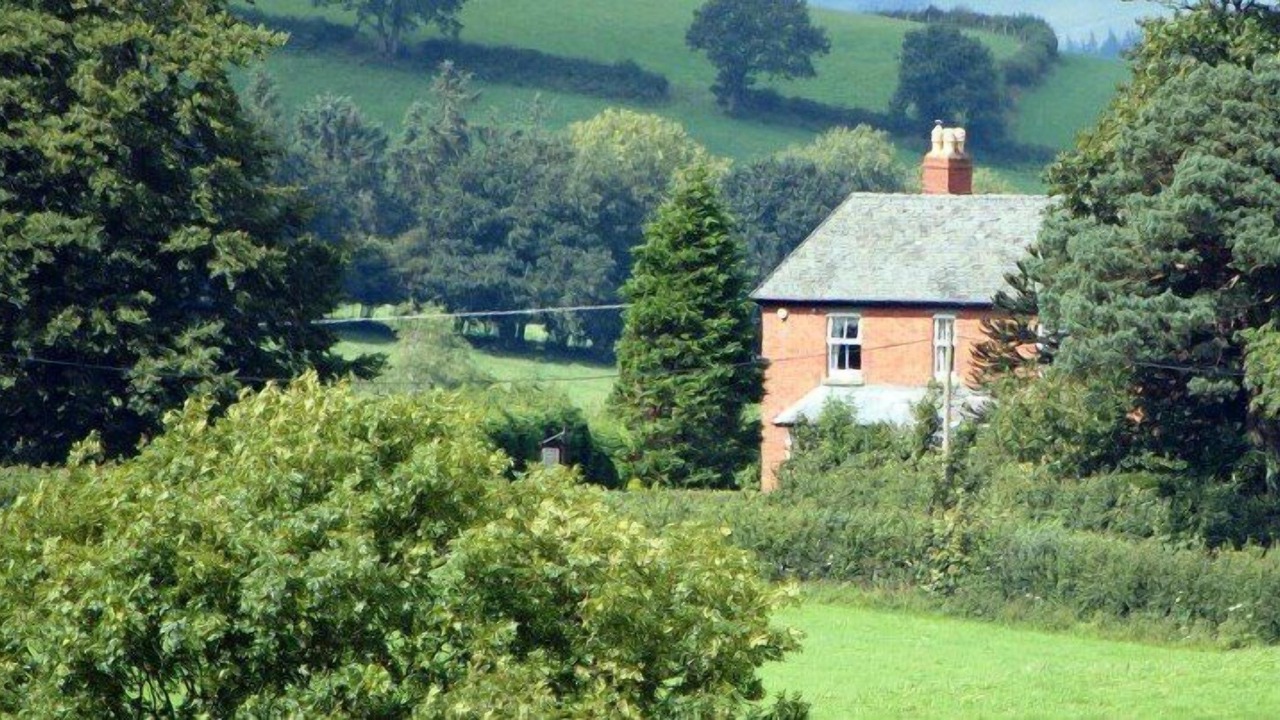 Photo of Buildings in Newtown