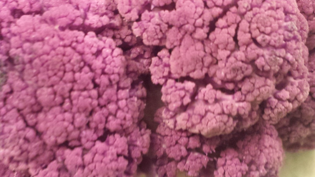 Photo of Others in Hightae