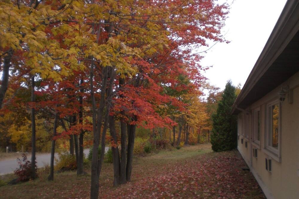Photo of Outdoor in Blind River