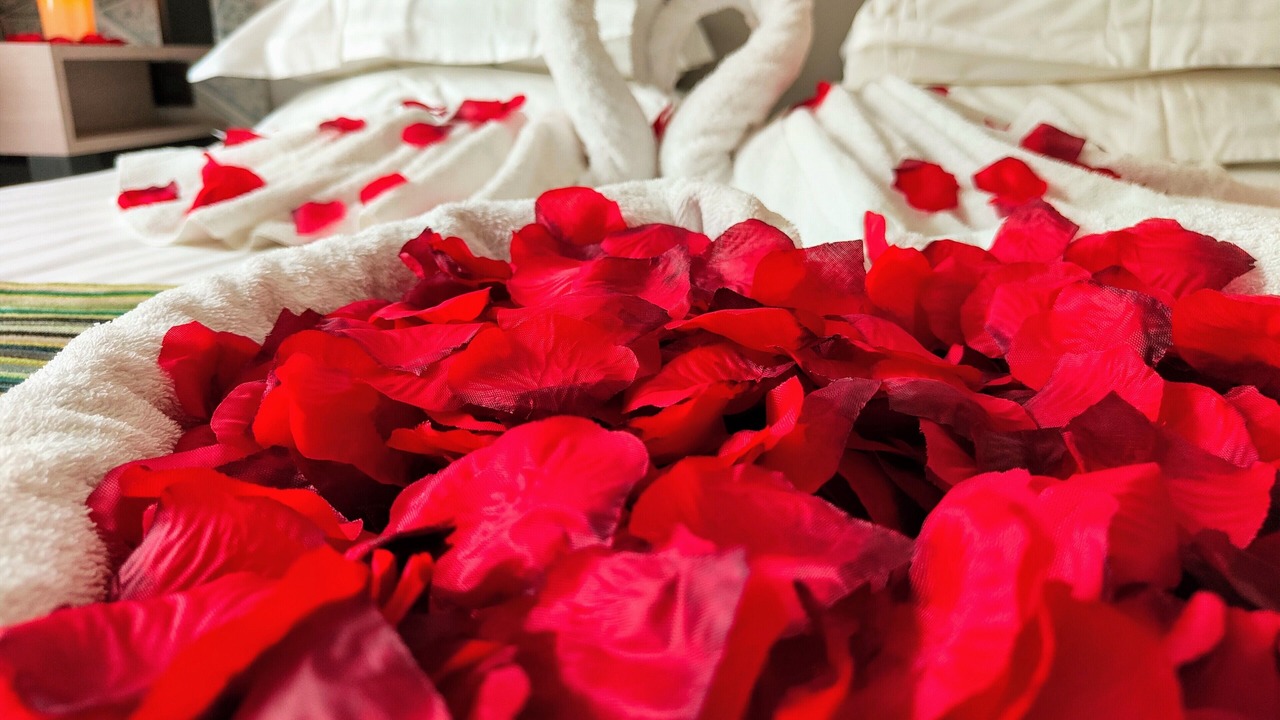 Photo of Bedroom in Antony