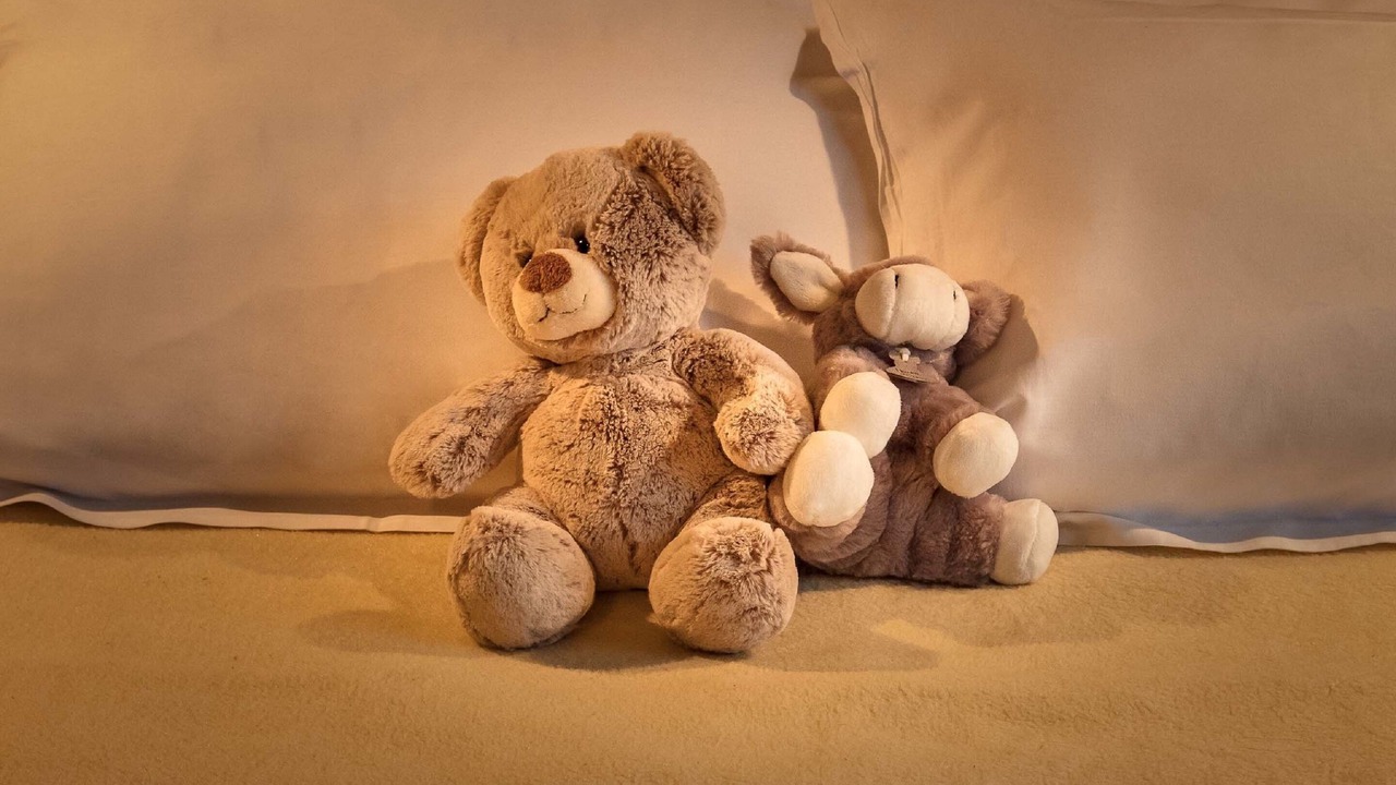 Photo of Bedroom in Antony