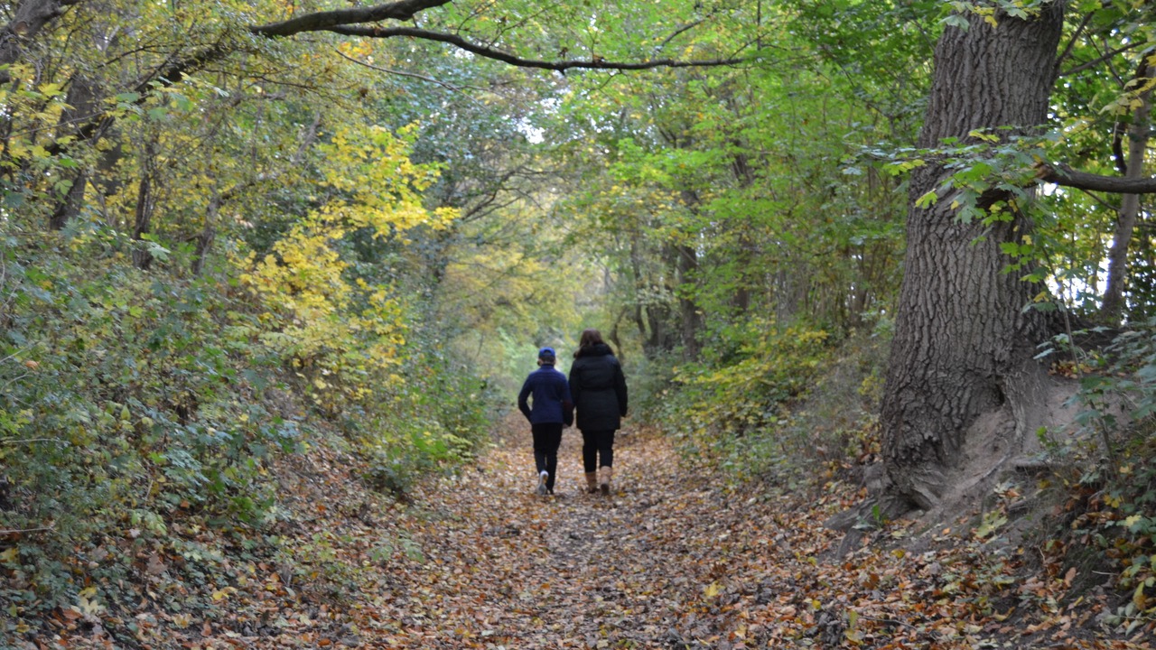 Photo of Outdoor in Nykobing Falster