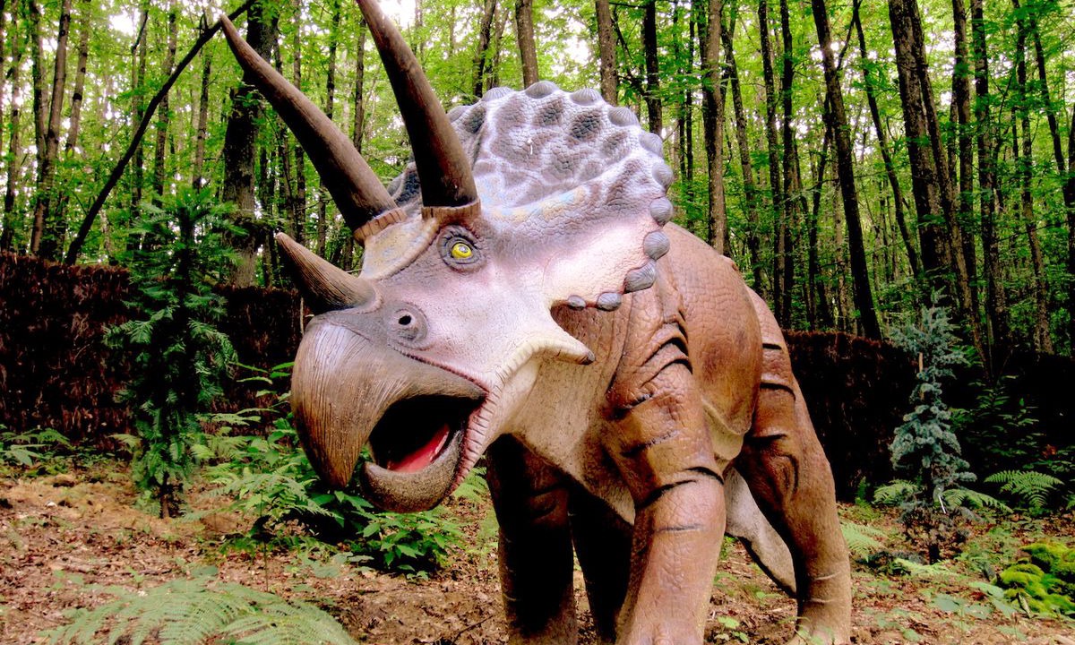 Photo of Outdoor in Carla-Bayle