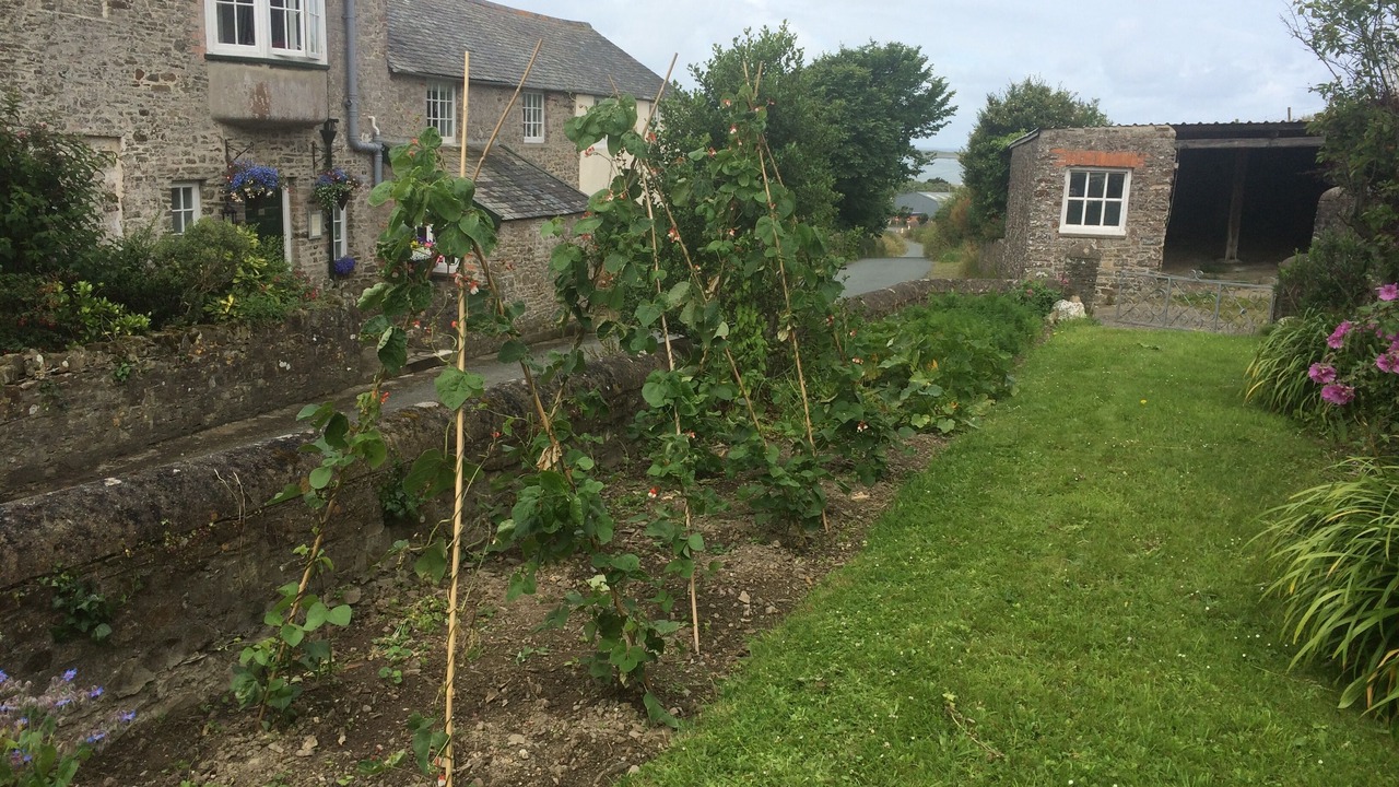 Photo of Outdoor in Instow