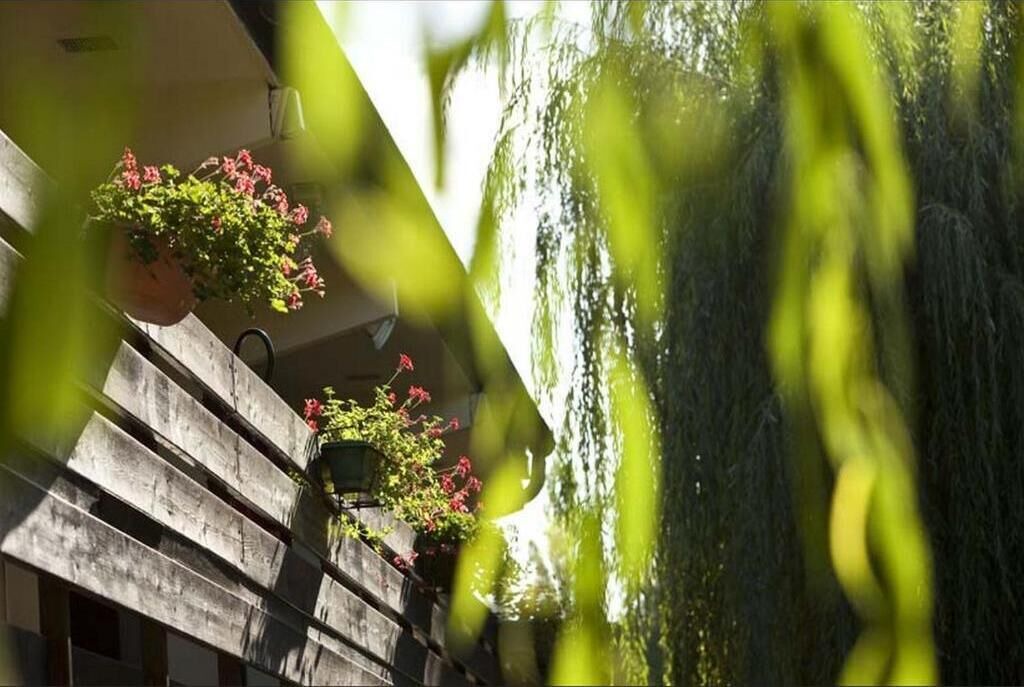 Photo of Outdoor in Plaisir
