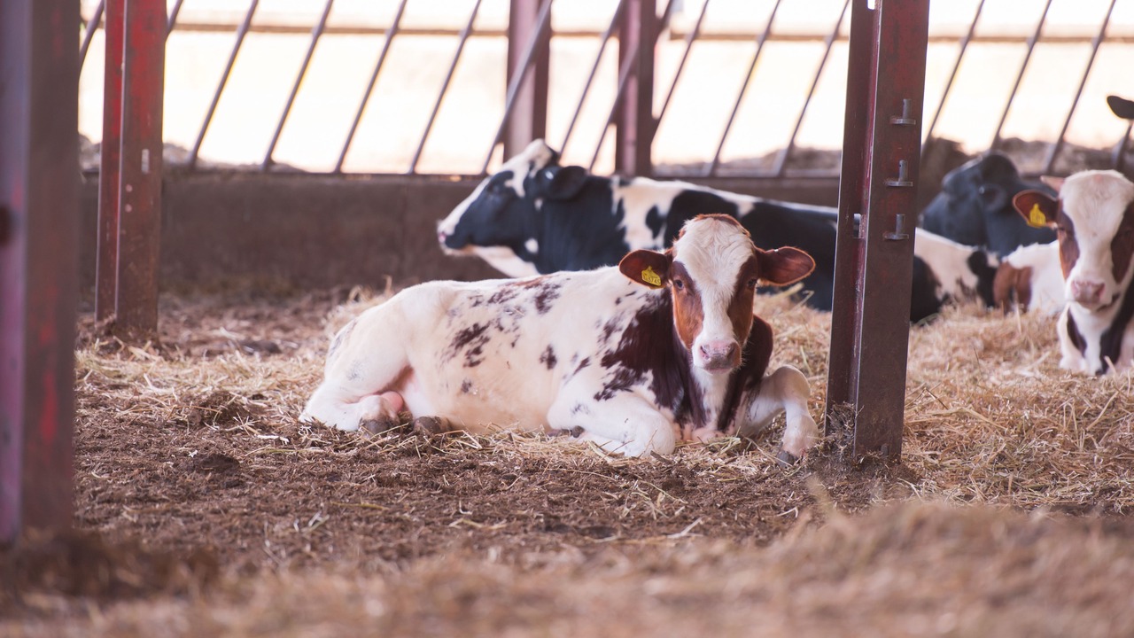 Photo of Outdoor in Broadwas