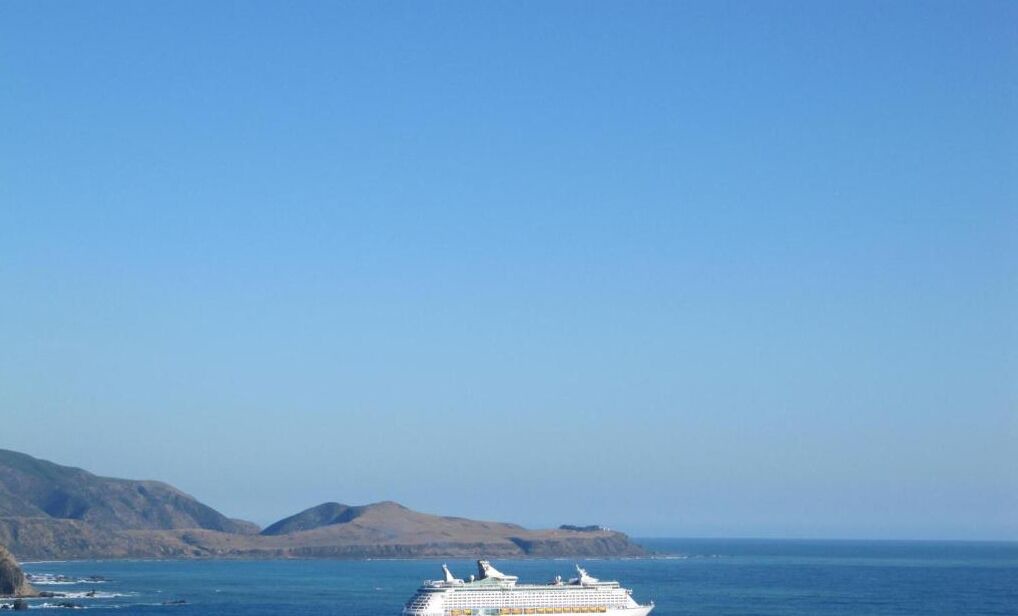 Photo of Others in Wellington