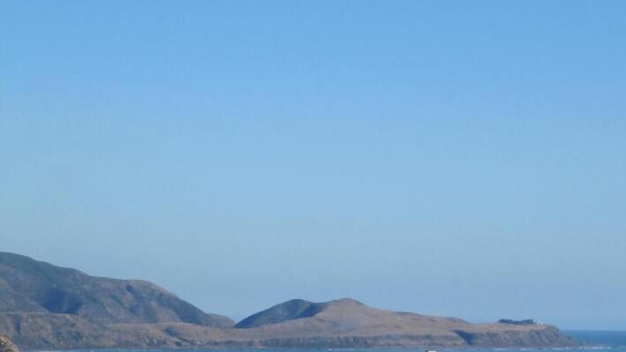 Photo of Others in Wellington