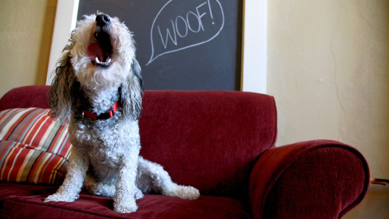 Photo of Bedroom in Concordia