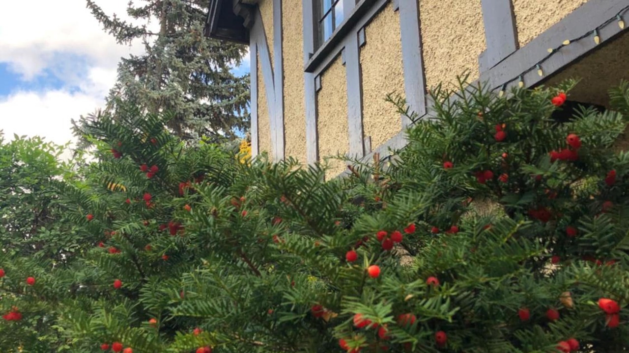 Photo of Outdoor in Sandy Hill