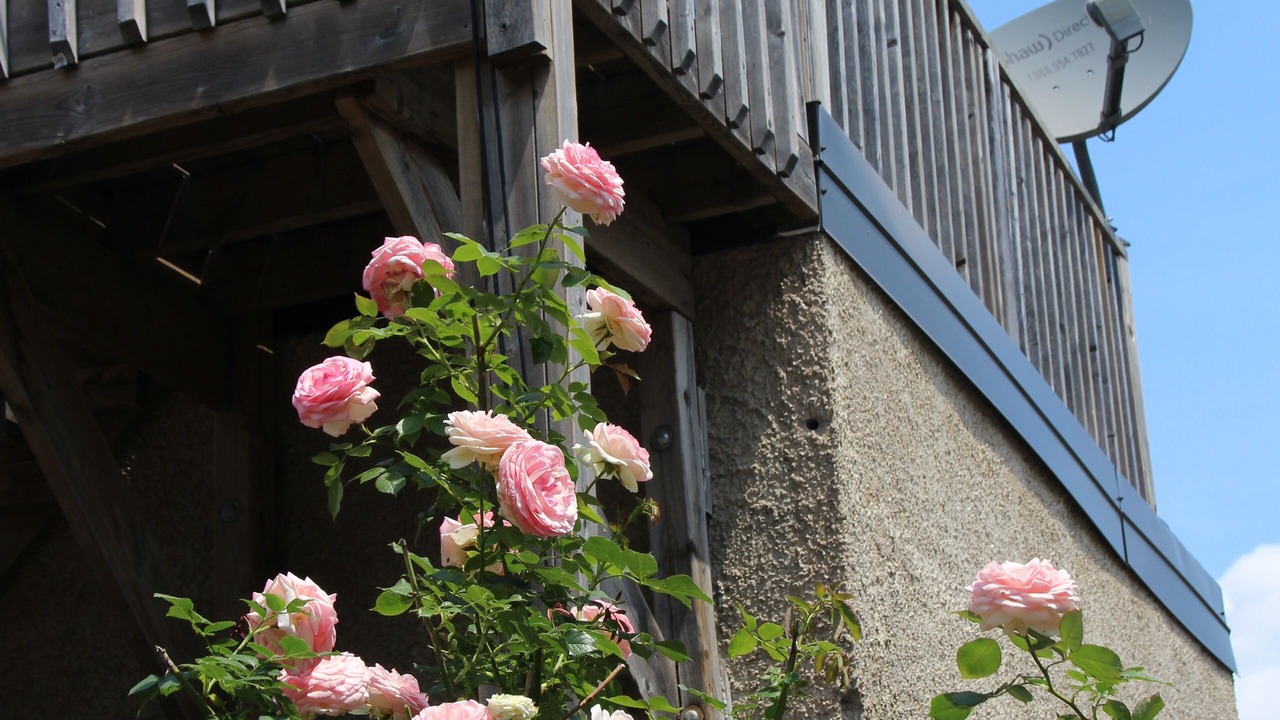 Photo of Patio Balcony in Sandy Hill