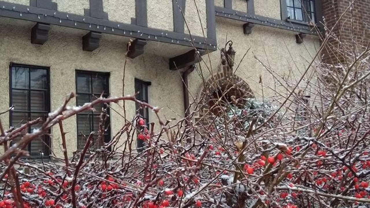 Photo of Outdoor in Sandy Hill