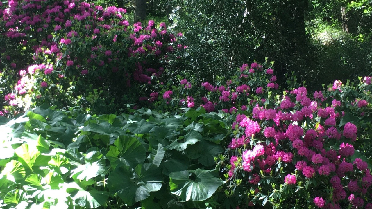 Photo of Others in Saint-Aubin-sur-Scie