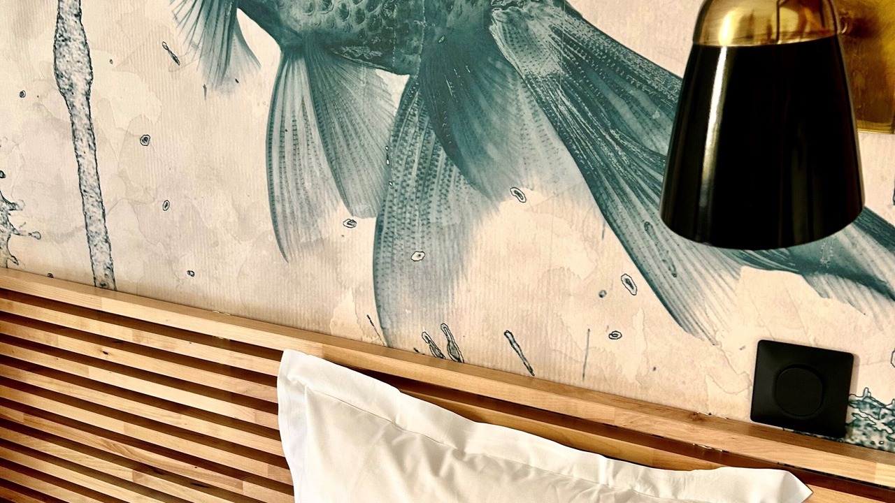 Photo of Outdoor in Courtoisville-Sillon-Moka