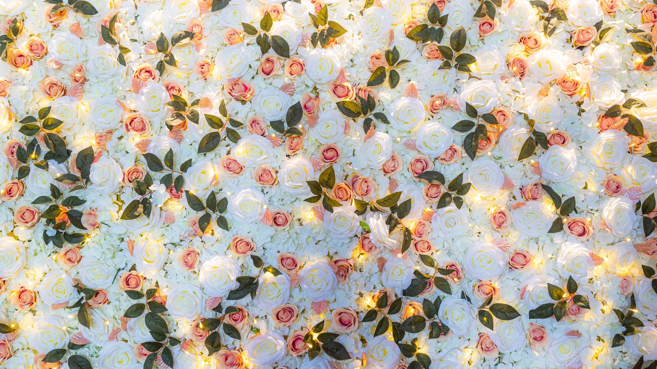 Photo of Others in Stirling