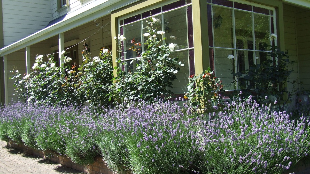 Photo of Outdoor in Hawera