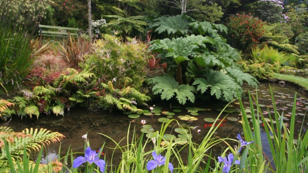 Photo of Outdoor in Tapu