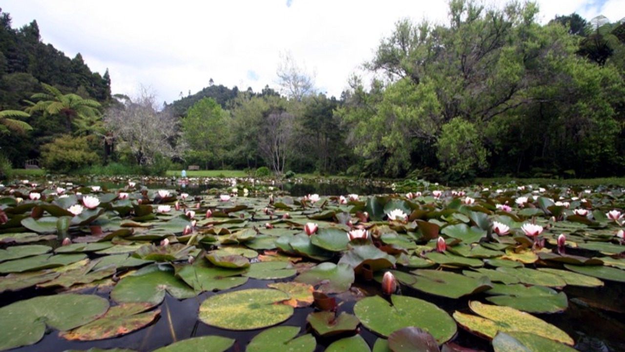 Photo of Outdoor in Tapu