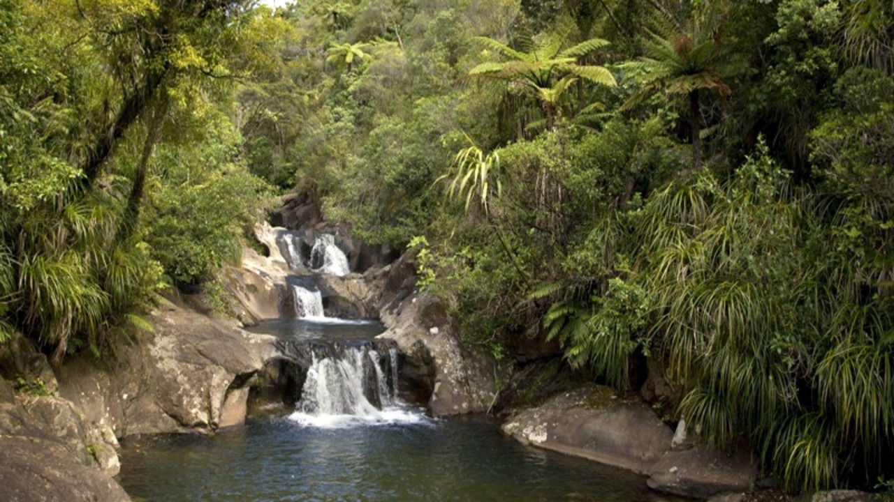 Photo of Outdoor in Tapu