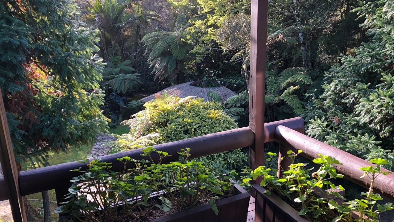 Photo of Bedroom in Tapu