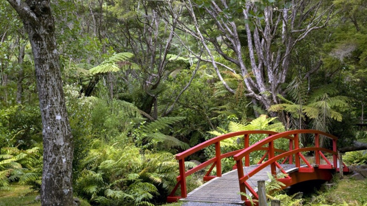 Photo of Others in Tapu