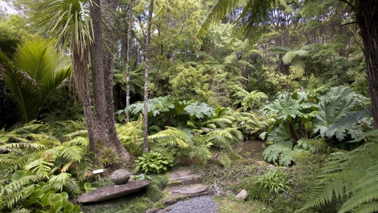 Photo of Outdoor in Tapu