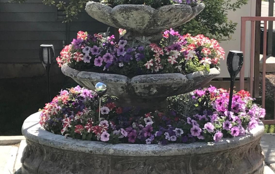 Photo of Outdoor in Meeker