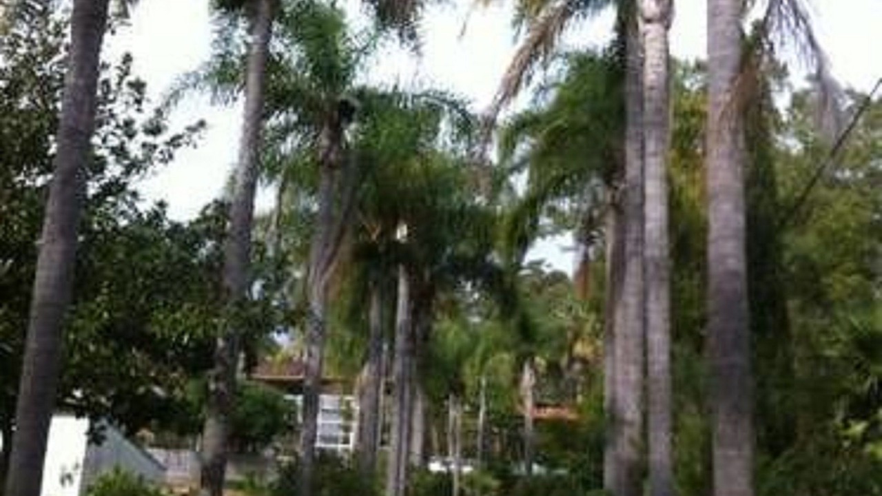 Photo of Others in Narara