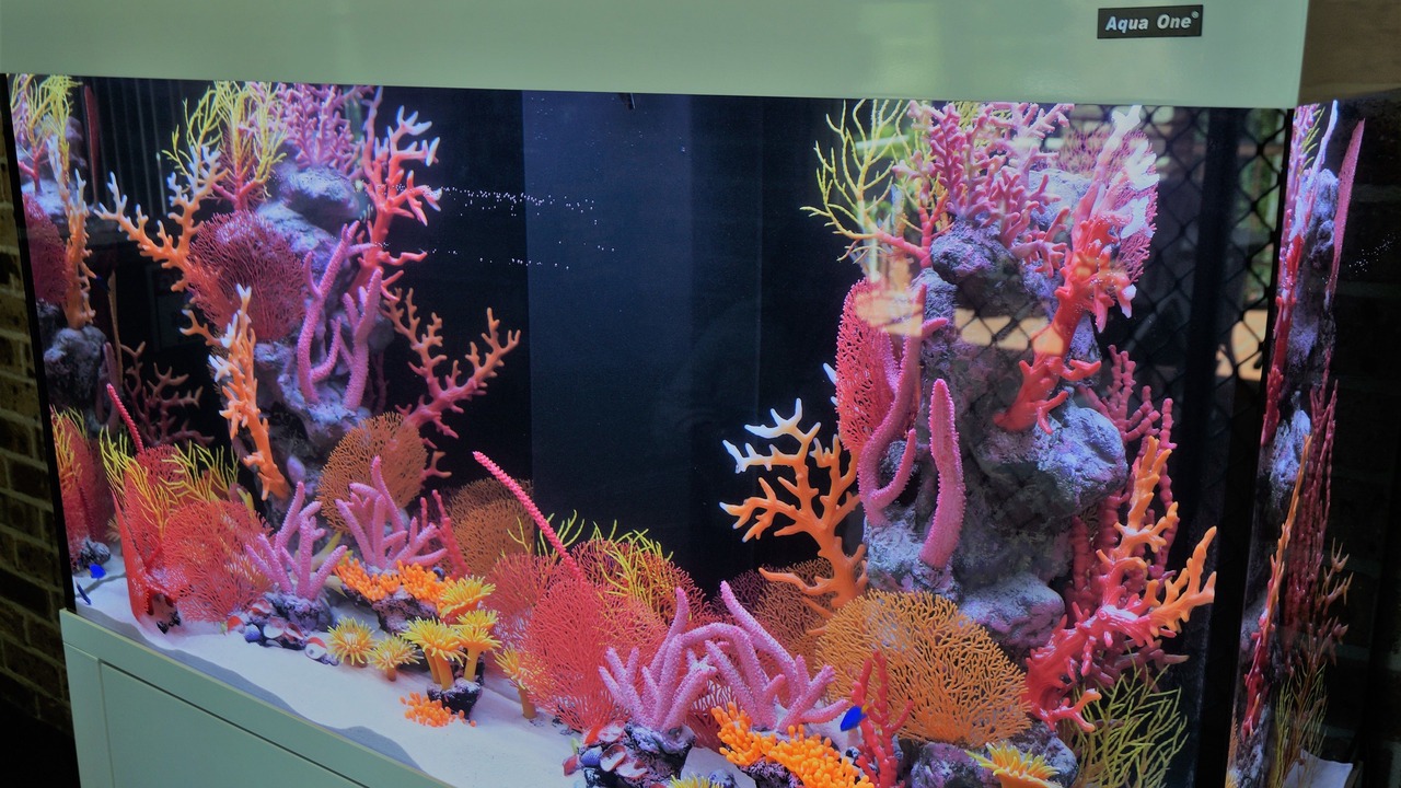 Photo of Others in Narara