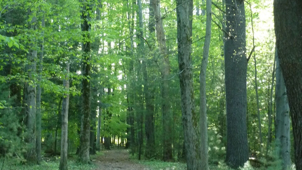Photo of Bathroom in Woodstock