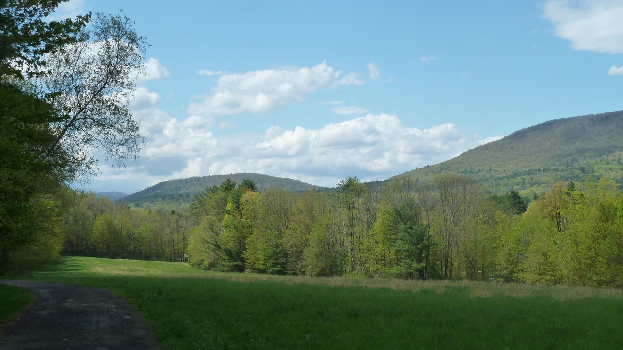 Photo of Bathroom in Woodstock