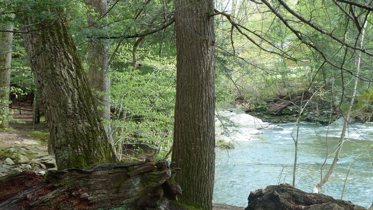 Photo of Bathroom in Woodstock