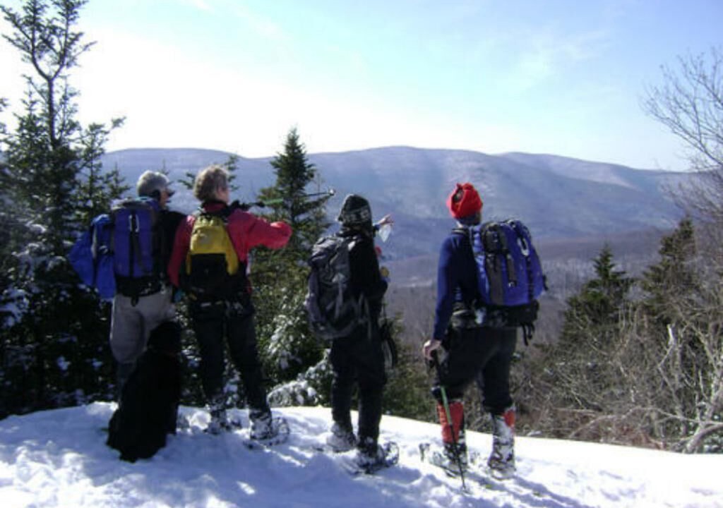 Photo of Others in Woodstock