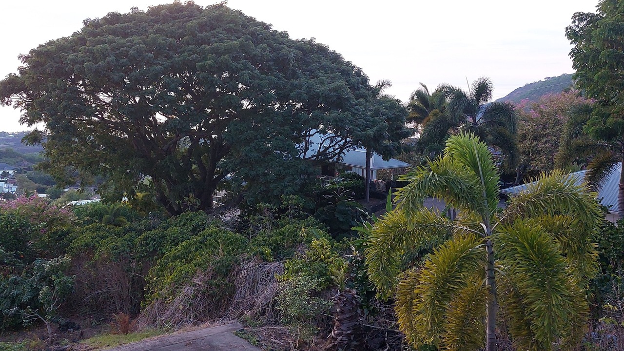 Photo of Bedroom in Honaunau-Napoopoo