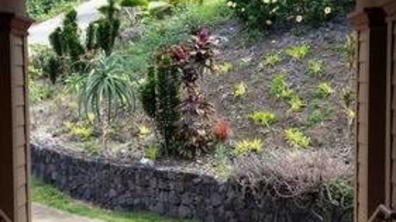 Photo of Others in Honaunau-Napoopoo