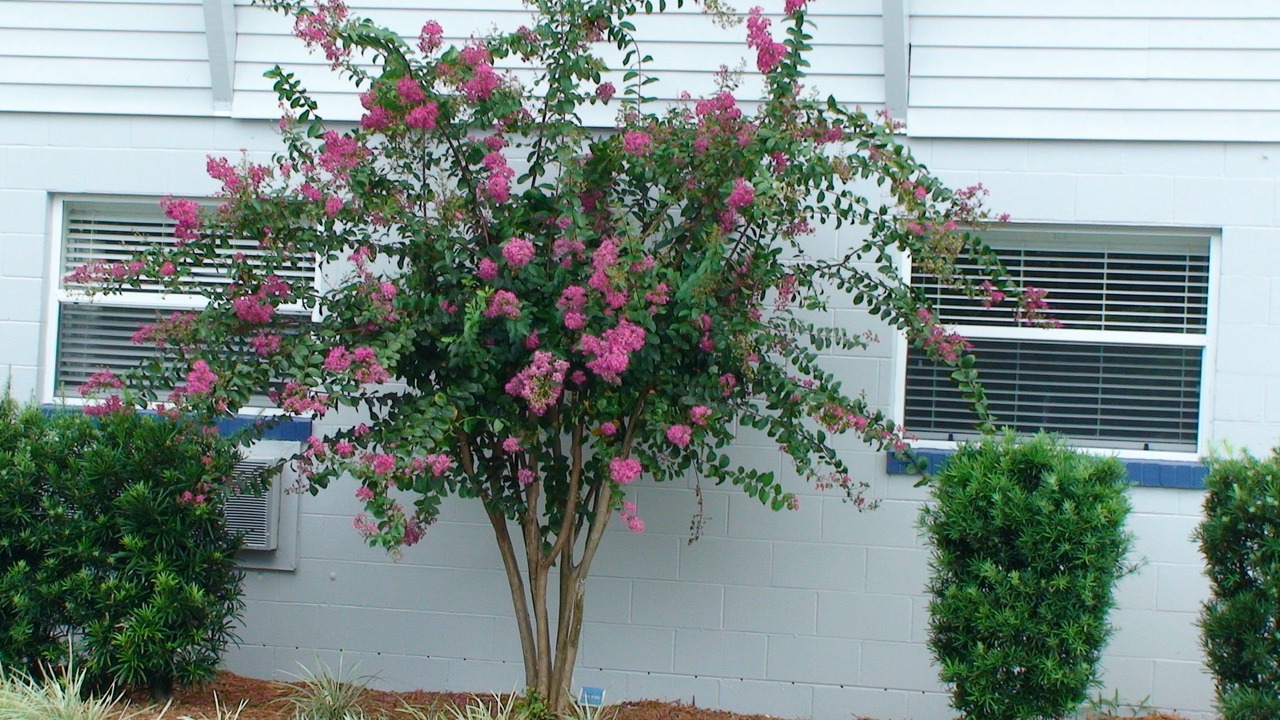 Photo of Outdoor in River Ridge