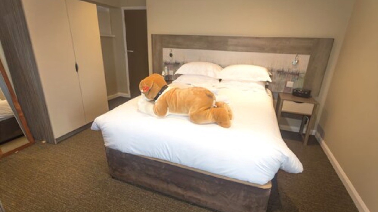 Photo of Bedroom in Bude