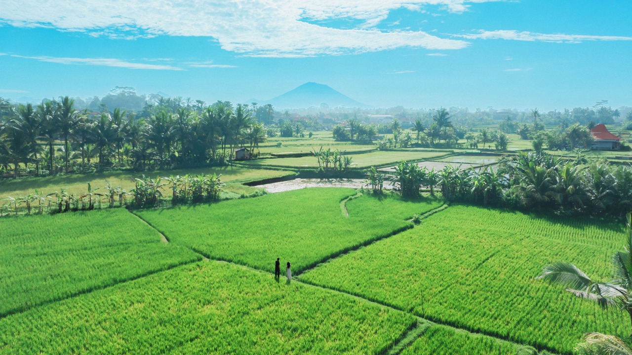 Photo of Outdoor in Kedewatan