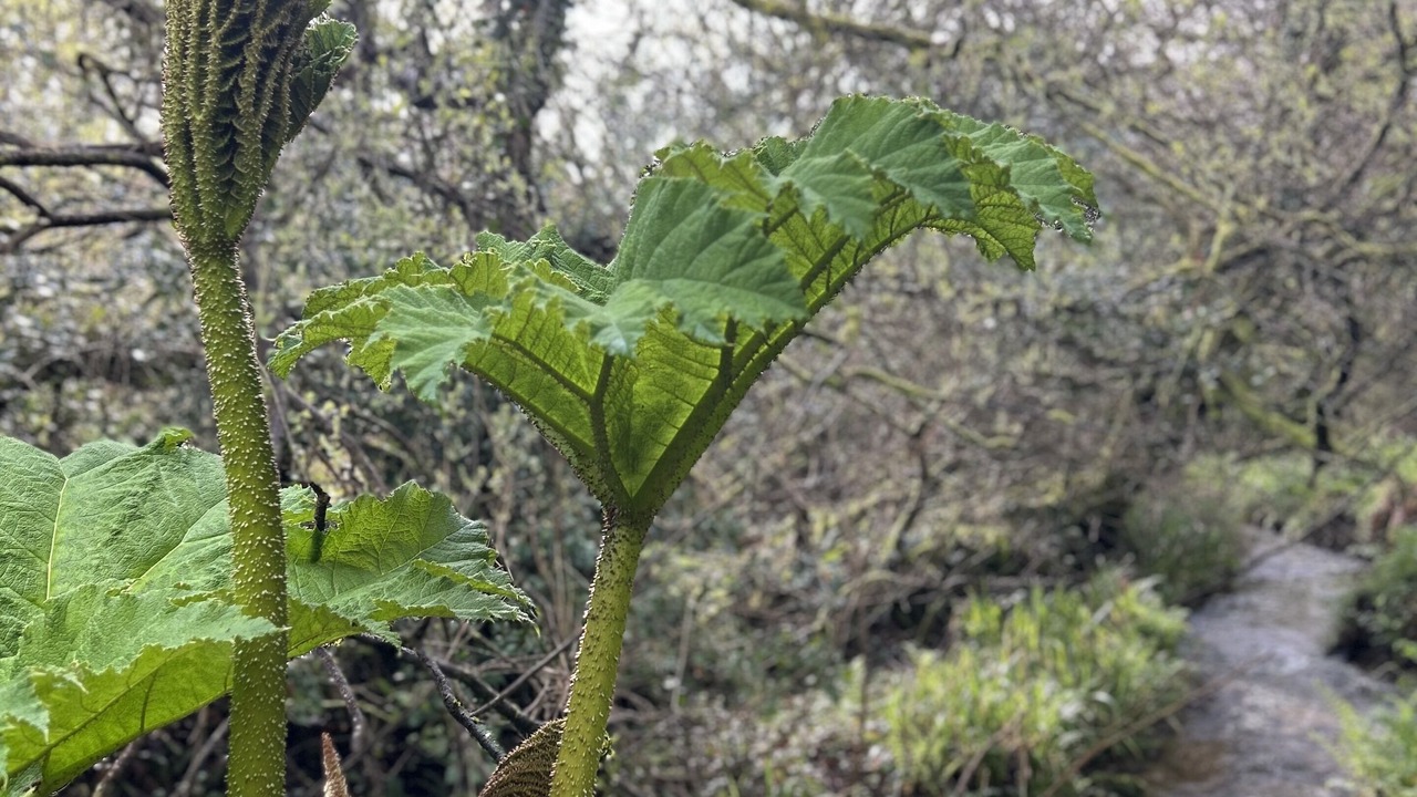 Photo of Outdoor in Constantine